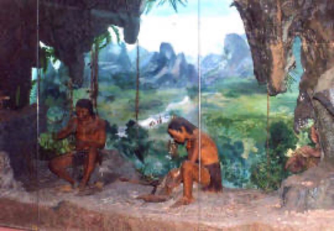 Văn hóa Hòa Bình – Bắc Sơn